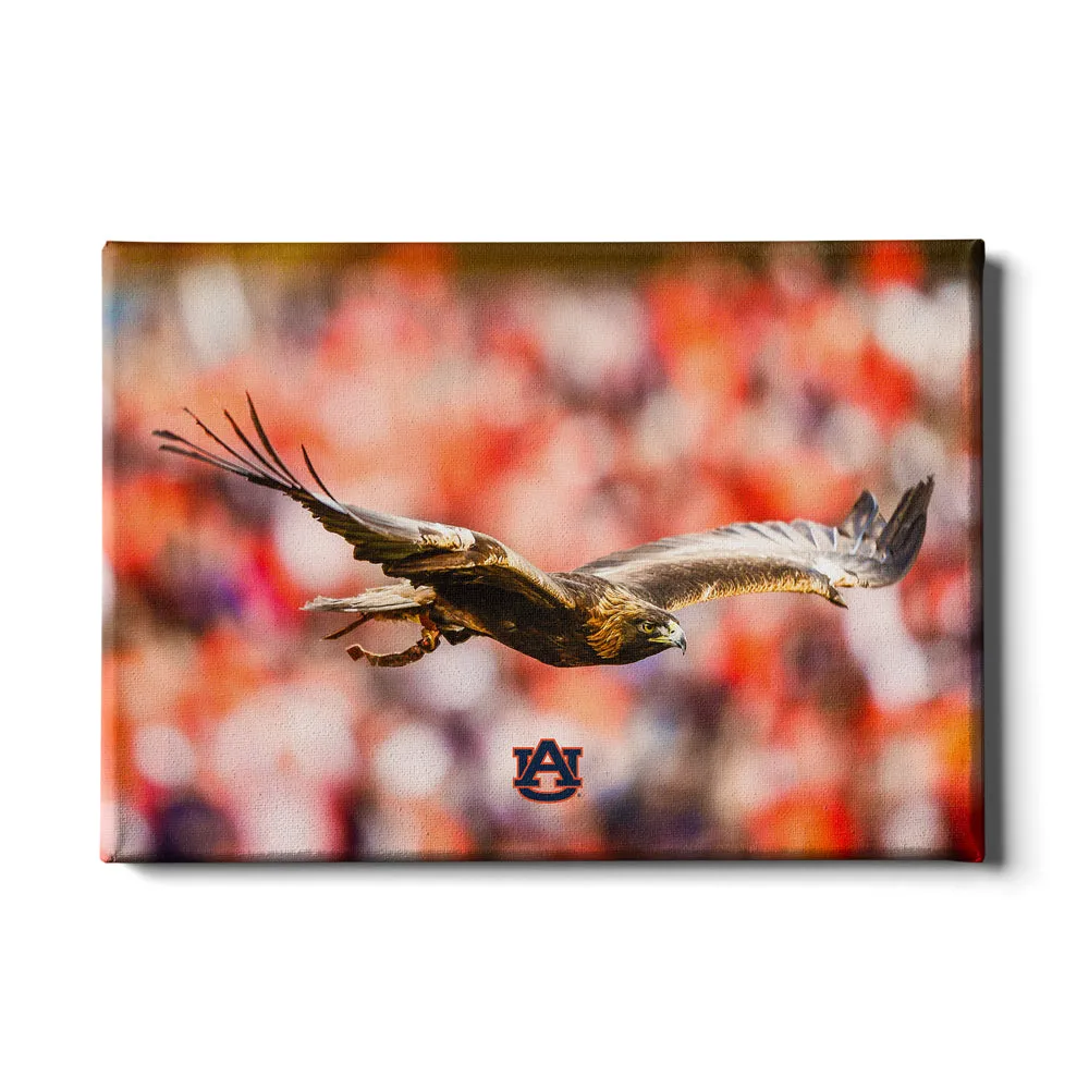 Auburn Tigers - War Eagle Flight