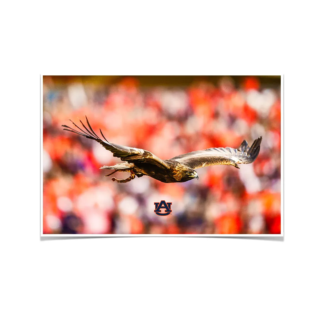 Auburn Tigers - War Eagle Flight