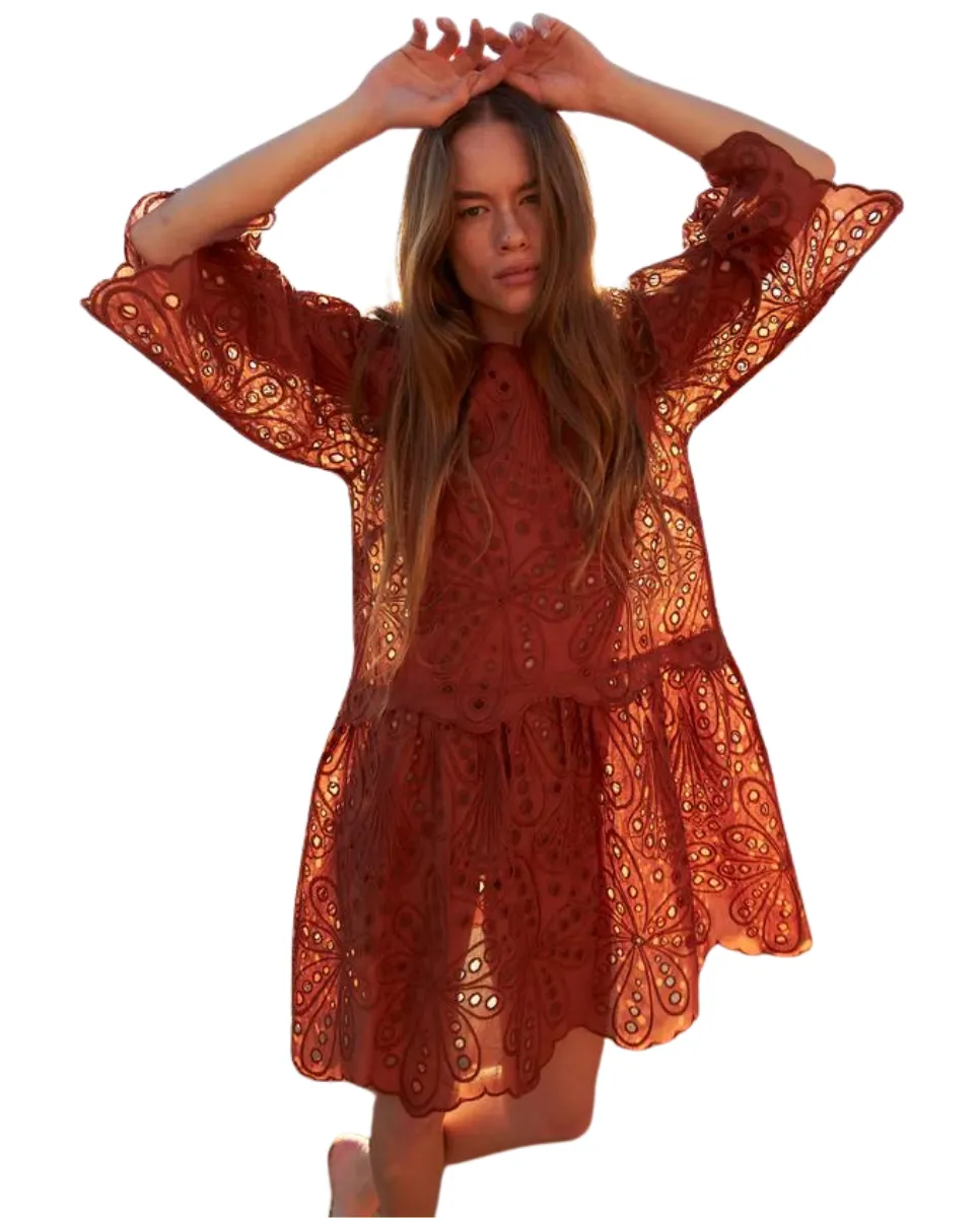 Embroidered Mini Dress Brown