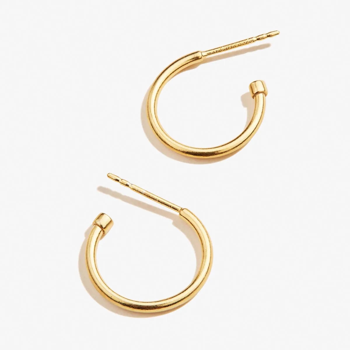 Small Hoop Earrings